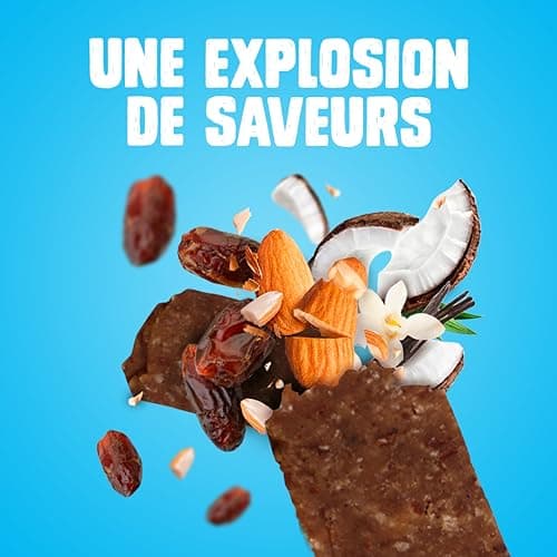 Gourmiz barres de fruits protéinées - 12 x 40gr - (20% de protéines), barre protéinée énergétique bio, dattes, noix de coco, & vanille, snacks vegan, proteine & sans gluten, protein bar