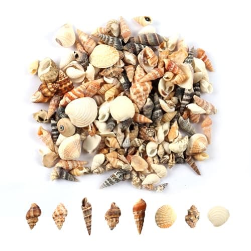 MsTeco Coquillage, 200g Coquillages Décoratifs Naturels Coquillage de Mer Mélange de Coquillages de Plage pour Bricolage Artisanat, Fabrication de Bougies, Réservoir de Poisson Remplissage(0.3-3cm)
