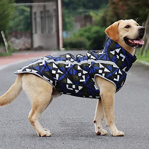 PETCUTE Manteau Imperméable pour Chiens Veste pour Chien Taille Petit Moyenne Grande Vetement Chuads pour Chien