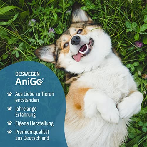 AniGo Griffe du diable pour chiens, chats et chevaux 1 kg – Poudre de griffes du diable, racine de griffe du diable, poudre articulaire, pour soutenir les articulations agiles et la mobilité