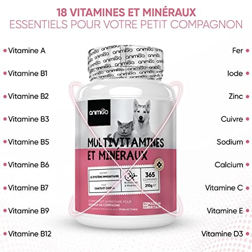 Vitamine Chien & Chat 365 Comprimés - 18 Minéraux & Vitamine pour Chien : Vitamine C, D, Vitamines B, Fer, Zinc, Calcium - Pour Santé Globale, Immunité, Peau, Poil, Articulations, Os, Digestion