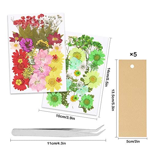 Lot de 65 véritables fleurs séchées pressées avec plusieurs pétales de fleurs séchées avec 5 marque-pages et pince à épiler pour la fabrication de bougies, loisirs créatifs, bijoux en résine, nail art