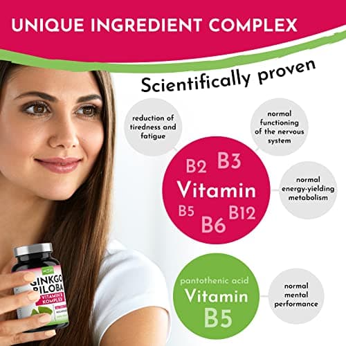 VROODY Vegan Extrait de ginkgo biloba à dose élevée - Associé à la vitamine B12, il contribue à réduire la fatigue et l’épuisement - 365 petits comprimés faciles à prendre