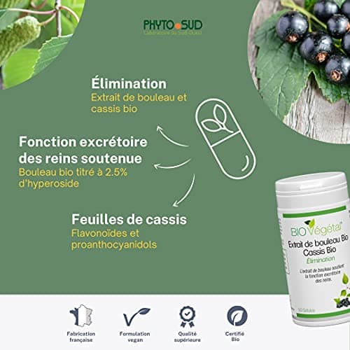 Bouleau et Cassis BIO Végétal - Complément Alimentaire Vegan - Elimination & Drainage - Cure Détox - 60 Gélules - Fabrication Française