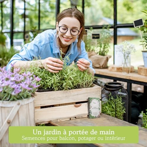 Kit de graines d‘Herbes aromatiques prêt à Pousser OwnGrown, 12 épices et aromates à Planter en Un kit Pratique, Naturelles pour Culture intérieure et extérieure