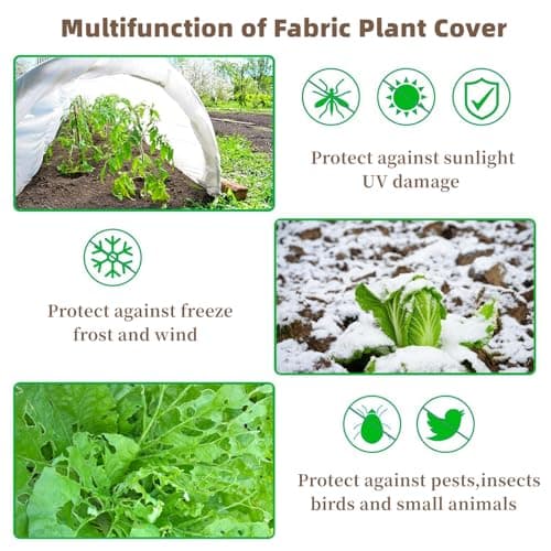 Trlyane Voile d'Hivernage pour Plantes Exterieur 2m x 5m, Non-tissée de Protection Hivernale, en Tissu Non Tissé 30 g/m2, Protège Les Plantes, Fleurs et Légumes du Froid, du Gel et du Vent