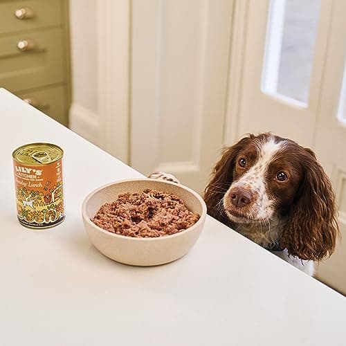 Lily's Kitchen Aliment humide naturel en boîte pour chiens adultes, Déjeuner dominical, recette sans céréales (6 x 400g Conserve)