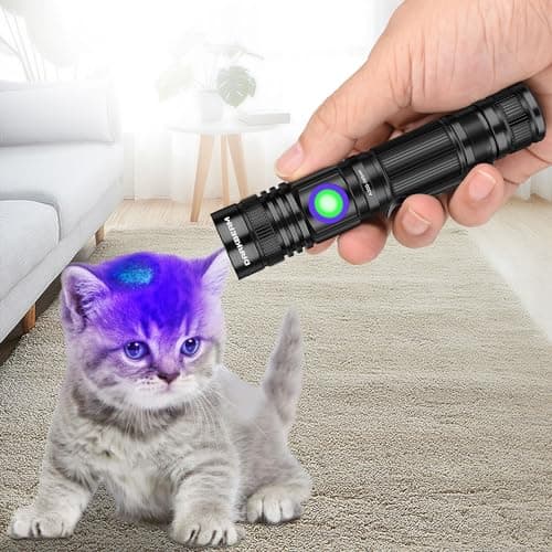 DARKBEAM Lampe Torche UV 365nm Lamp Lumière Noire rechargeable Wood's lampe, Blacklight Ultraviolette Portable Mini Torche LED, Détecteur d'urine de chat, Billets de banque