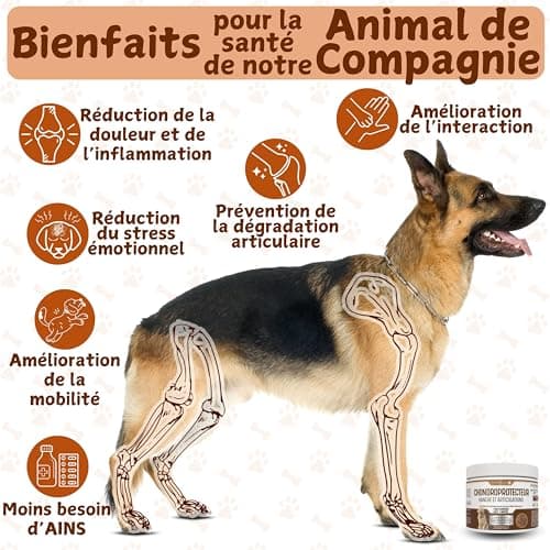 PETSUPLUS Complement Alimentaire Chien - Traitement Articulation Chiens - Chondroïtine, Glucosamine, MSM, Collagène, Acide Hyaluronique - Anti Arthrose & Douleur Articulatoires - 120 Comprimés