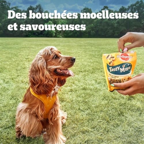 Pedigree Sa Récompense – Bouchées Moelleuses pour Chien – Friandises au poulet – 6 sachets de 130g