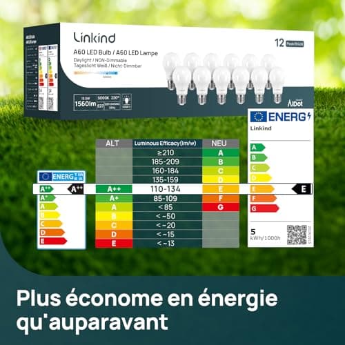 Linkind Ampoule LED E27 Blanc Chaud, 13W Equivalent 100W, 2700k Lumière Blanche Chaude 1521lm, Ampoule Standar A60 Gros Culot à Vis, No Dimmable, 220v-240v, Lot de 6