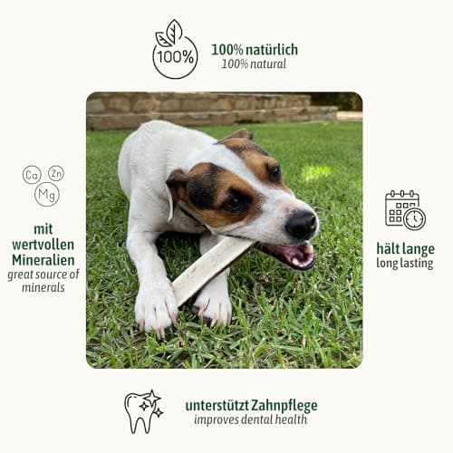 ChronoBalance® Bâtonnets L à mâcher en Bois de cerf pour Chiens: Jouet à mâcher Naturel, en Bois de cerf à 100%, favorisant l'hygiène Dentaire, Durable, sans Produits Chimiques.
