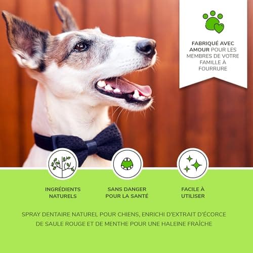 Moofurr Dentifrice Chien Spray 100ml - pour Le Detartrage Dentaire des Chiens, Anti-Tartre Dentaire, Rafraichissant pour la Mauvaise Haleine du Chien - Hygiene et Sante Naturelle du Chien a la Menthe