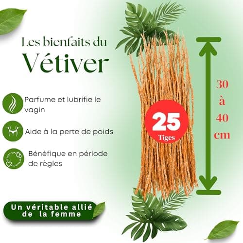 Khamaré Racines de vétiver 25 GRANDES TIGES soutiennent la flore intime, la flore intestinale, la bonne odeur vaginale, le bien-être vaginal. Drainant et détox. Gongoli, gongolili, Thiep par Orothi
