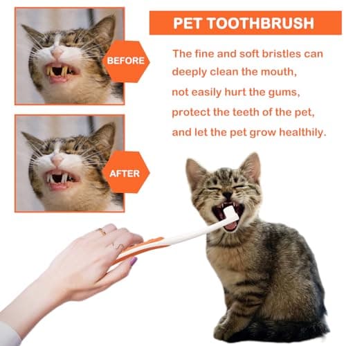 Brosse à Dents Et Dentifrice Pour Chien -Dentifrice à l'Arôme De Bœuf 75g, Brosse à Doigts Et Brosse à Dents à Poils Souples - Soins Dentaires Pour Chien Et Chat Contre La Mauvaise Haleine