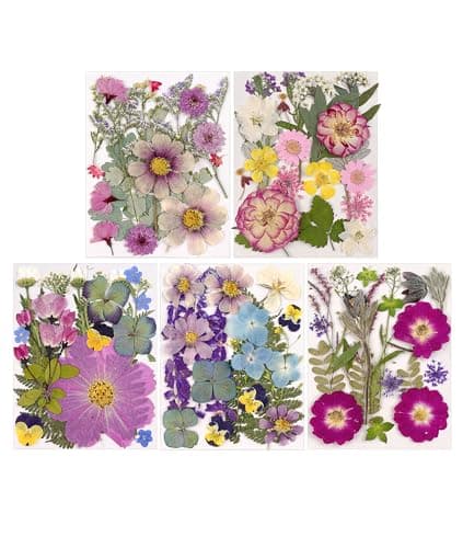 Gugxiom Fleurs Pressées Séchées pour Résine, 5 Sacs de 100 Fleurs Pressées, 5 Thèmes de Couleurs, Fleurs Sèches pour Nail Art, Résine, Conception de Bijoux DIY, Coques de (Type 2)