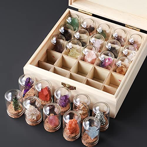 Tuzsocr Mini Pierre Précieuse Naturelle,25 PCS Ensemble de Cristaux de Guérison,Cristaux de Collection Rock and Mineral,Polies Relief,Boîte de Rangement Incluse-Jeu Scientifique et éducatif