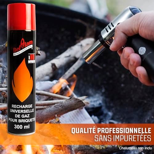 Lot 2 recharges de gaz 300 ml pour briquets et chalumeau de cuisine