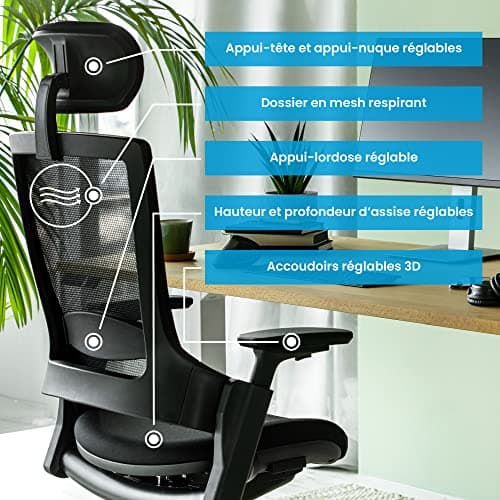 Ergotopia Nextback Chaise de Bureau Ergonomique – Fauteuil pivotant avec Appui-lordose réglable & accoudoirs – Chaise Ergonomique avec Appui-tête – Fauteuil de Bureau en Mesh