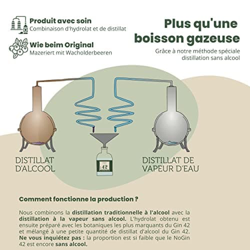 NoGin 42 - L'alternative au gin sans alcool avec les épices originales du Gin 42 | jnpr | Sans sucre | Compagnon idéal pour les cocktails sans alcool | A servir avec l'eau tonique Thomas Henry