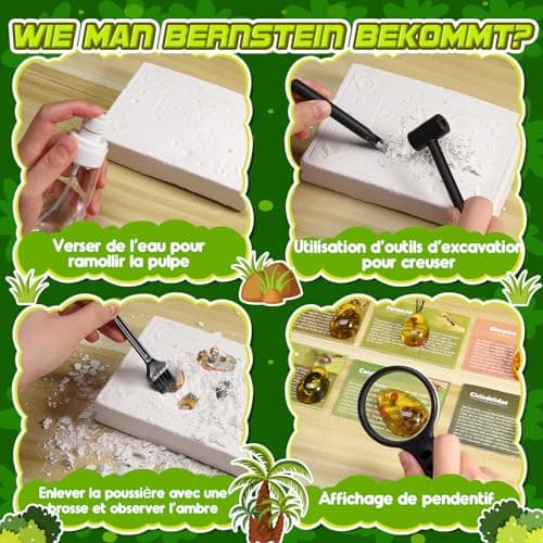 Jouet Garcon 6 7 8 9 10 Ans, Geebiiny Fossil Experiences Scientifiques Enfants Cadeau Garcon 5-12 Ans Pierre Precieuse Kit Exploration Enfant Jeux Garcon 6-11 Ans Kits Éducatifs de Sciences