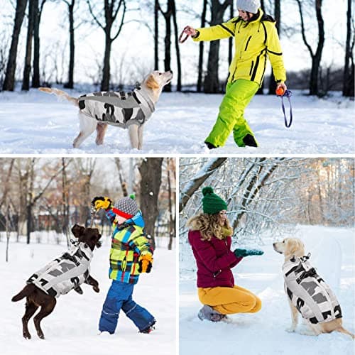 Hjyokuso Manteau Chien, Manteau pour Chien Doublé et Chaud, Manteaux d'hiver pour Chiens avec Fermeture à Glissière, Manteau Chien Imperméable, Veste Chien Hiver pour Petit/Grand/Moyen Chiens-Rris XS