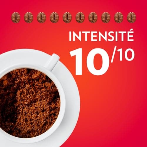 Lavazza - Il Mattino, Café Moulu, Idéal pour la Machine Filtre ou Manuelle, avec Notes Aromatiques de Fruits Secs, pour un Espresso au Goût Intense et Velouté, Robusta, Intensité 10/10, 4x250g