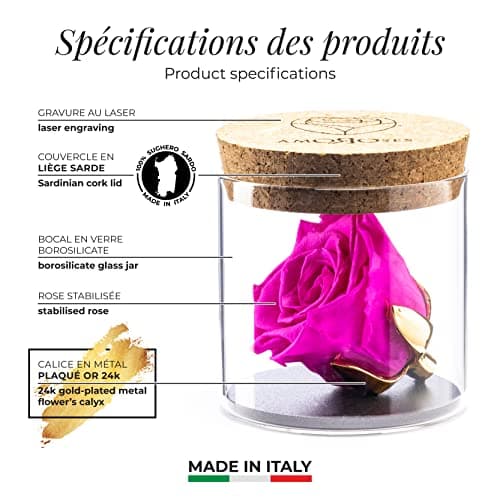 Amoroses Bijou - Rose éternelle stabilisée avec Calice plaqué Or 24K dans Un conteneur en Verre | Idée Cadeau (Rose Rose Shocking)