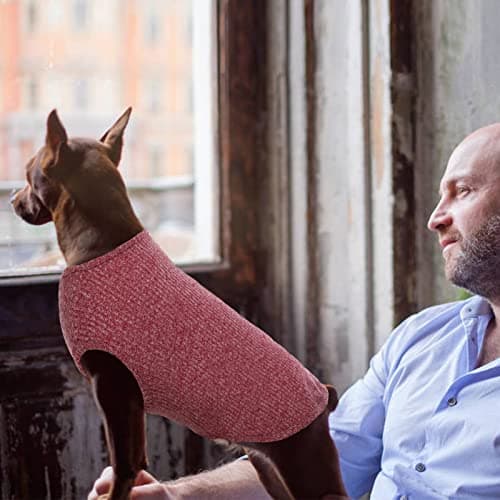 Hjumarayan Pull Chien - Pull Rayé pour Chien Sweat Chien Fin Pull Noel Chien Petite Taille, Vetement pour Chien Pull-Overs pour Chiens, Vetement Chihuahua Yorkshire Terriers (Rouge XS)