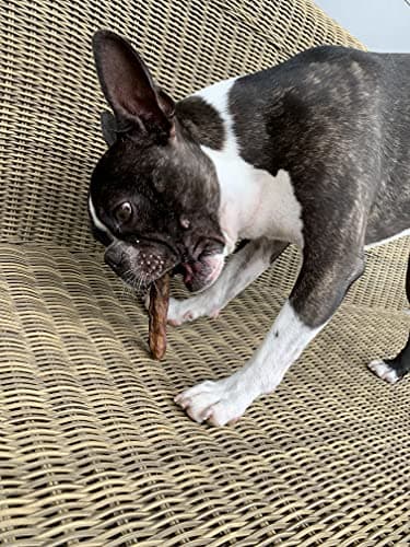 Friandises pour Chiens, Queue de Buffle, 100% Naturel, Nutritif et à Mâcher pour Les Petits, Moyens et Grands Chiens. 200g.