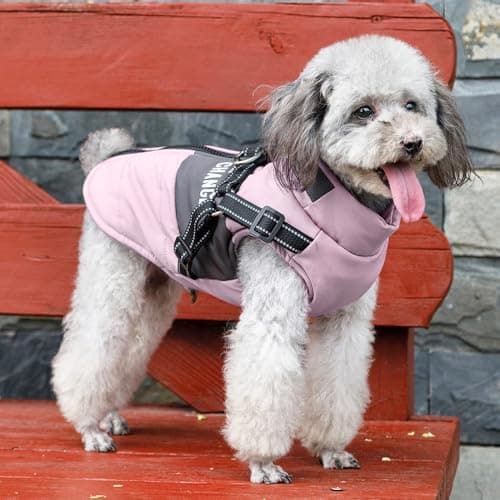 Oslueidy Vestes d'hiver pour Chiens, Manteaux Chauds pour Chiens Vêtements réfléchissants pour Chien Gilet imperméable pour Chiot avec Harnais pour Chiens de Petite et Moyenne Taille (Violet, XXL)
