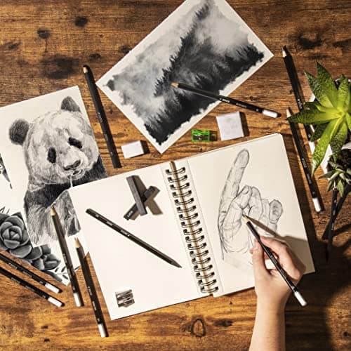 Kit de Dessin Complet - Debutant ou Professionnel - 19 accessoires : 8 Crayon Papier, 3 Crayons Charbon, 1 Graphite, 3 Bâtons Charbon, Carnet de Dessin 100 Pages - Cadeau Artistes Tous Niveaux