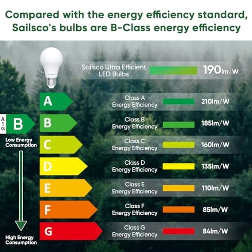 Sailsco Classe B Ampoule LED E27 Blanc Chaud,8W Equivalent Ampoule Incandescence 100W, 2700K Lumière Blanche Chaude 1521LM, Ampoule à économie d'énergie A60, Non-Dimmable, Lot de 6