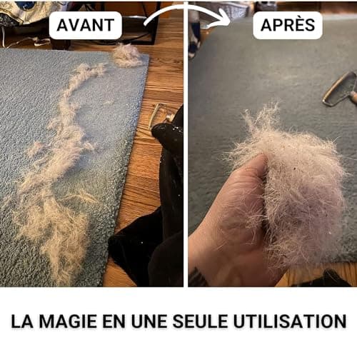 PANDANIA Brosse Anti Poils Tapis pour Chien et Chat - Rasoir Anti Bouloche Manuel, Raclette et Nettoyeur de Peluche Vêtements, Retire Poil Animaux Siège Voiture - Inclus Brossette de Nettoyage