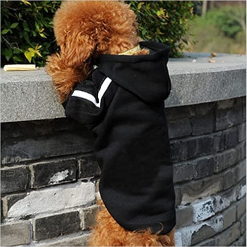 Ducomi Sweat à Capuche pour Chien 100% Coton - Manteau pour Petit, Moyen et Grand Chiens, Chihuahua, Bouledogue Français, Labrador, Pitbull et Amstaff, Pull Confortable (Noir, 2XL)