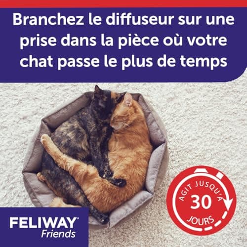 FELIWAY Friends – Anti Conflit pour Chat - Recharge 48 ml