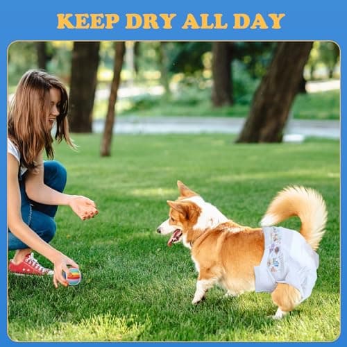 Nobleza Couches Chien Couches Femelles de Formation de Chiot Femelle jetables Super Absorbant Wraps pour Animaux de Compagnie 12 Pack, M