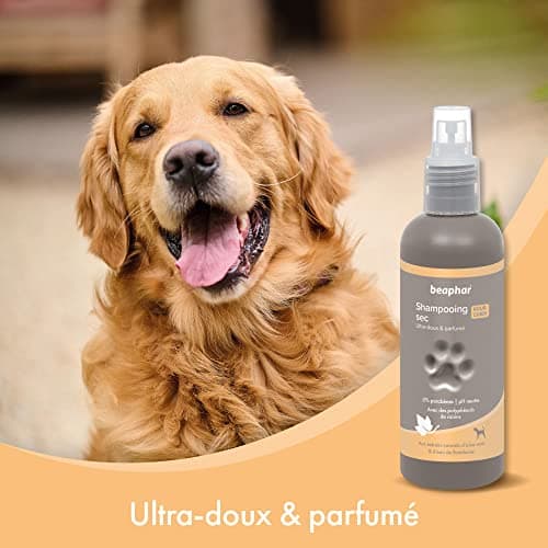 BEAPHAR – Spray Shampoing Sec Ultra-Doux pour Chien – Extraits naturels d'Aloe Vera et de l'eau de Framboise – Fortifie et redonne de l'éclat au Poil – Prêt à l'emploi, sans rinçage – 200 ML