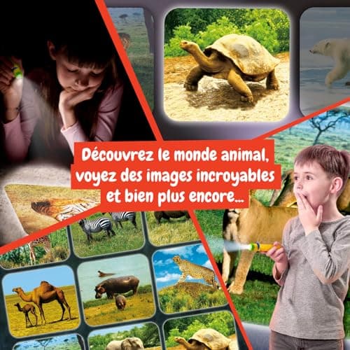 Science4you Lampe Torche et Projecteur Animaux pour Enfants 4+ Ans - Veilleuse avec 24 Images et Poster Animaux, Jouet Éducatif pour Garçons et Filles