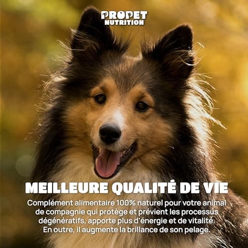 Complement Alimentaire Chien et Chat 20 en 1. Vitamines, Probiotique et Glucosamin Anti Arthrose. VIT A, B, C, E, H, Omega 6, Levure de bière + Fer. 100% Naturel. Effet Anti Inflammatoire. 120 Doses