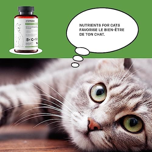 Vitamines pour chats - 120 comprimés à mâcher - Métabolisme, système immunitaire, peau & pelage - Complément alimentaire avec complexe de vitamines B, oméga 3, zinc & plus - animaux Nutrients for Cats