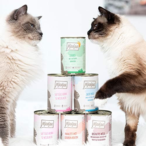 MjAMjAM - nourriture humide premium pour chats - poulet juteux et saumon sauvage, pack de 6 (6 x 800 g), sans céréales avec supplément de viande