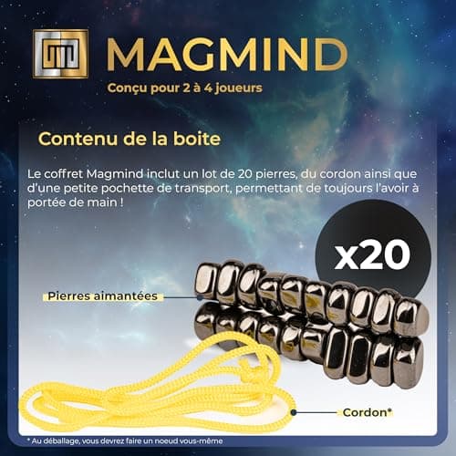 MagMind – Echiquier Magnétique avec Osselet Aimanté - Jeu de Société Adulte et Enfant - en Couple ou en Famille et Pratique en Voyage - Stratégie, Echec et Réflexion prêt à Vous Retourner Le Cerveau.
