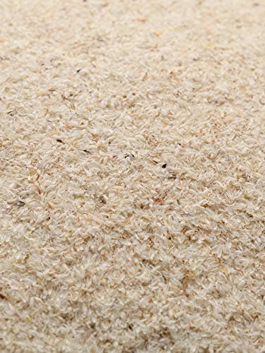 Biojoy Enveloppes de psyllium BIO (500 g), 99% de Pureté, Psyllium husk (Plantago psyllium)