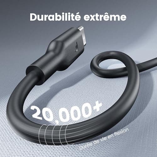 RAMPOW Cable USB C, [4Pack 1M] 2*Cable USB C vers USB C & 2*Cable USB vers USB C Charge rapide PD3.0, Cable iPhone 16, Cable iPhone 15 avec puce E-Mark pour iPhone 16/15, Macbook, iPad, Samsung