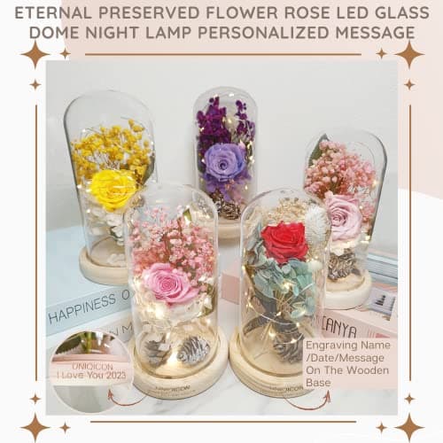 Saint Valentin Rose Eternelle sous Cloche, La Belle et la Bête Rose, Dôme en Verre Rose éternelle avec lumière LED et Base, Mariage Maison Décor, Cadeau Pour Femme, Amie, Anniversaire, Fête des mères