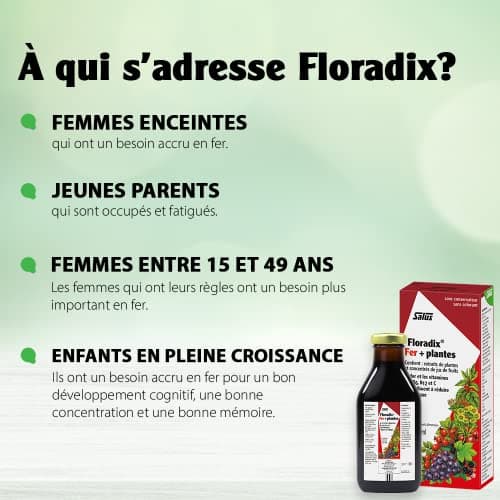 Salus Floradix Fer + Plantes - Formule Liquide Riche en Fer - Enrichi en Vitamine C pour une Meilleure Absorption - 500 ml