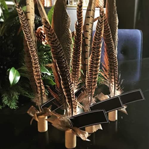 Zeayebsr 1 ensemble de 20 plumes de faisan pour l'artisanat et les décorations de chapeaux montrent les loisirs créatifs (25-30cm)