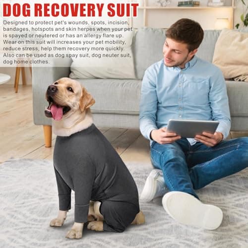 Oslueidy Ensemble de Récupération Post Chirurgicale pour Chien, Combinaison Pyjama pour Chien Corps Entier Grande Taille Moyenne Chien Récupération Ensemble Chirurgical Anti Léchage (Gris Foncé, XL)
