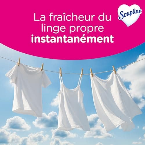 SOUPLINE - Spray Brume de Linge Parfum Grand Air - Brume Parfumée pour Linge de Maison et Vêtements - Complément Idéal à Votre Lessive et à Votre Adoucissant Linge - Lot de 2 x 300 ml